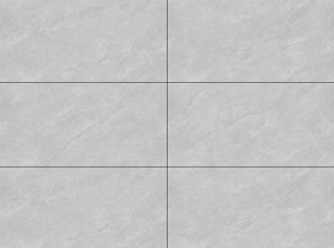 C48FTC2804-LH 银莎灰